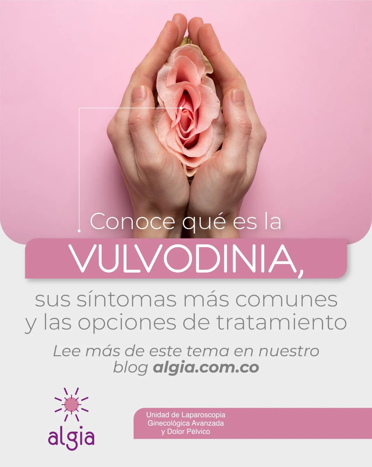 Conoce qué es la vulvodinia, sus síntomas más comunes y las opciones de tratamiento